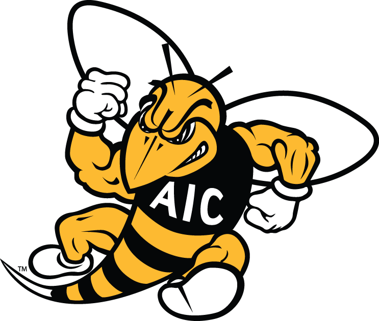 AIC Yellow Jackets 2009-Pres Secondary Logo diy DTF decal sticker